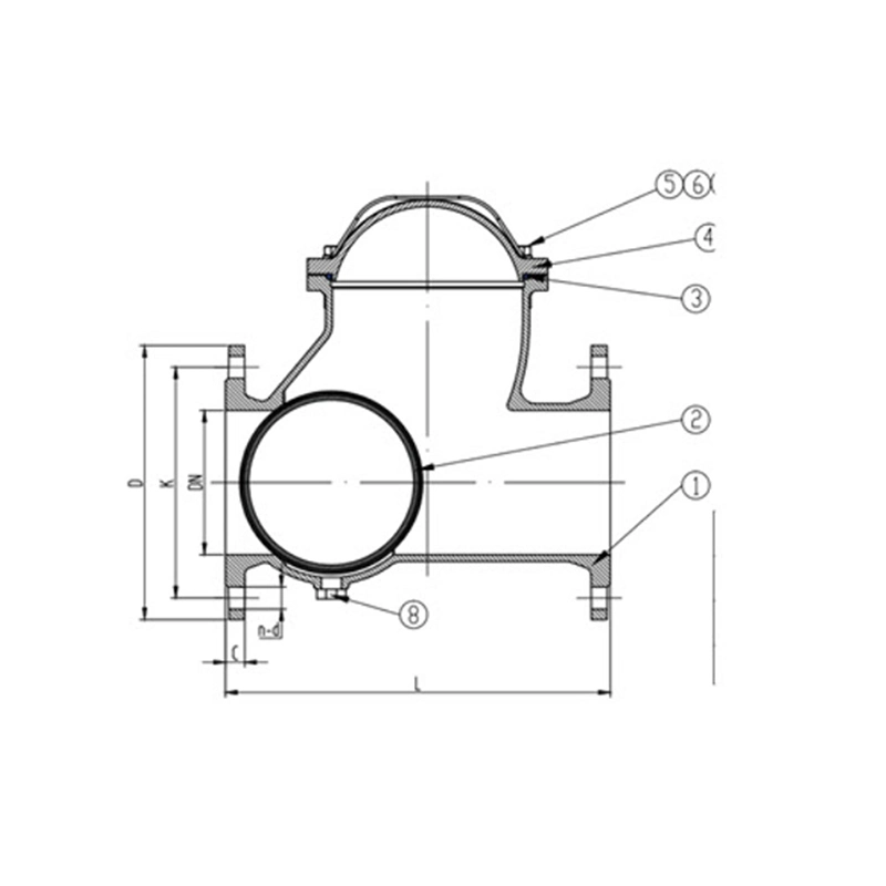 Different Standards Ball Check Valve From 2" to 12"