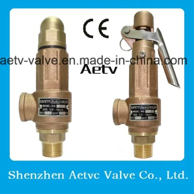 Aetv Ce 청동/스테인레스강 안전 밸브